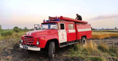 На Черниговщине сгорело более 50 гектаров пшеницы (ФОТО) - dsnews.ua - Украина - Киев - Черниговская обл.