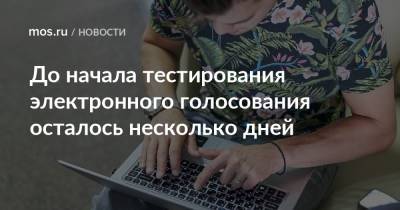 До начала тестирования электронного голосования осталось несколько дней - mos.ru - Москва