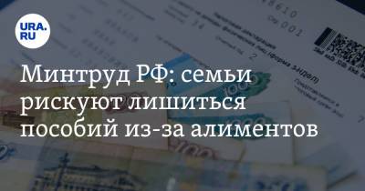 Минтруд РФ: семьи рискуют лишиться пособий из-за алиментов - ura.news - Россия