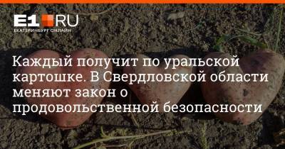 Евгений Куйвашев - Артем Устюжанин - Каждый получит по уральской картошке. В Свердловской области меняют закон о продовольственной безопасности - e1.ru - Екатеринбург - Свердловская обл.