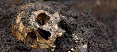 Три черепа обнаружены на стройплощадке в районе Карелии - stolicaonego.ru - район Лахденпохский - республика Карелия