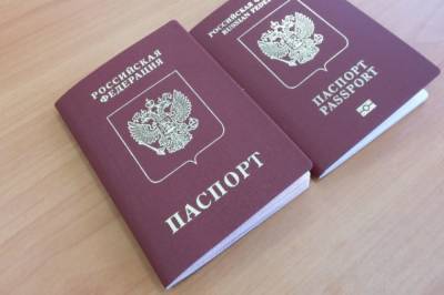 Владимир Груздев - Срок оформления загранпаспорта не по прописке составит три месяца - aif.ru - Россия