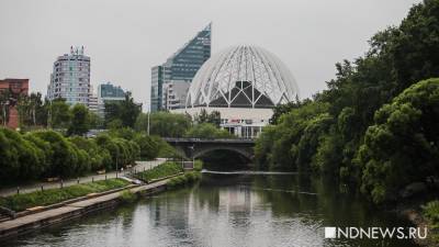 «Таким вещам не место в культурном мире», – художница отказалась от биеннале из-за проведения выставки в цирке - newdaynews.ru - Екатеринбург - Уральск