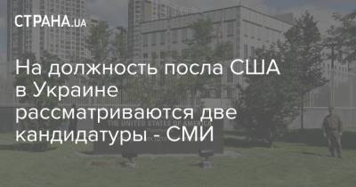 На должность посла США в Украине рассматриваются две кандидатуры - СМИ - strana.ua - США - Украина - Киев - Казахстан - Узбекистан - Киргизия - Таджикистан - Сербия - Туркмения - Посол