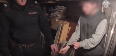 В Новосибирске завершилось расследование зверского убийства семилетней давности - runews24.ru - Новосибирск - Новосибирская обл. - район Калининский, Новосибирск