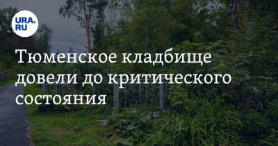 Тюменское кладбище довели до критического состояния - ura.news - Тюмень