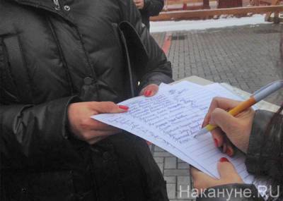 Элла Памфилова - Памфилова вновь призвала губернаторов организовать места для сбора подписей - nakanune.ru