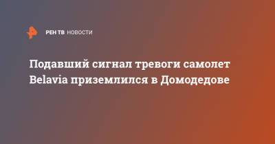 Подавший сигнал тревоги самолет Belavia приземлился в Домодедове - ren.tv - Воронеж - Московская обл. - Минск