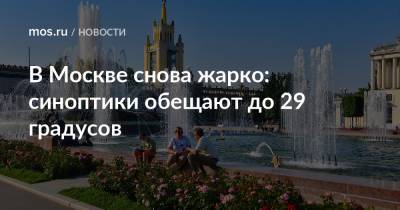 В Москве снова жарко: синоптики обещают до 29 градусов - mos.ru - Москва