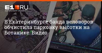 В Екатеринбурге банда веловоров обчистила парковку высотки на Ботанике. Видео - e1.ru - Екатеринбург