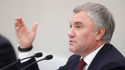 Любовь Соболь - Алексей Навальный - Вячеслав Володин - Соболь потребовала снять Володина с выборов. В «Голосе» считают, оснований для этого нет - znak.com - Москва - Россия - Саратов