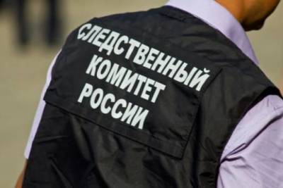 Леонид Лобанов - Адмирала ВМФ России заподозрили в убийстве жены и сына в Петербурге - versia.ru - Россия - Санкт-Петербург - Мурманск