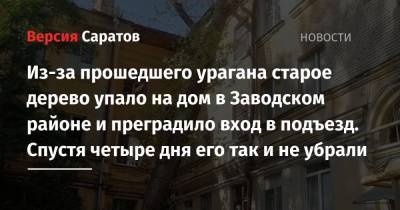 Из-за прошедшего урагана старое дерево упало на дом в Заводском районе и преградило вход в подъезд. Спустя четыре дня его так и не убрали - nversia.ru - Саратов - район Заводский