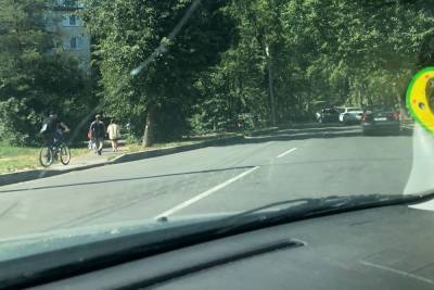 Рухнувшее дерево перекрыло улицу в Великом Новгороде - mk.ru - Великий Новгород