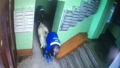 Леонид Лобанов - У внука адмирала ВМФ, чью убитую семью подозревают в инцесте, обнаружили рак крови - 5-tv.ru - Санкт-Петербург - Тула - Мурманск - Мурманская обл.