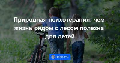 Природная психотерапия: чем жизнь рядом с лесом полезна для детей - news.mail.ru - Россия