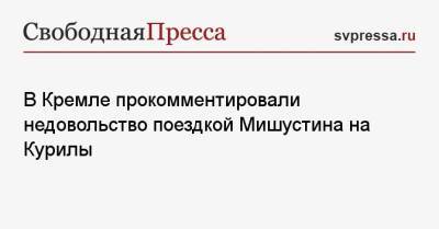 Дмитрий Песков - Михаил Мишустин - В Кремле прокомментировали недовольство поездкой Мишустина на Курилы - svpressa.ru - Москва - Россия - Токио - Япония