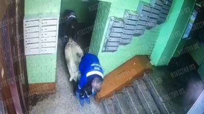 Леонид Лобанов - «Больше всего любил мать и сына»: дочь адмирала ВМФ об отношениях в погибшей семье - 5-tv.ru - Санкт-Петербург