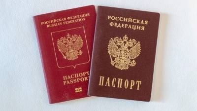 Ильдар Гильмутдинов - В Госдуме предложили добавить новую графу в российские паспорта - 5-tv.ru - Россия