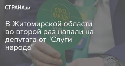 Арсений Пушкаренко - В Житомирской области во второй раз напали на депутата от "Слуги народа" - strana.ua - Украина - Житомирская обл. - Житомир