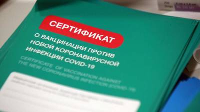 В Воронежской области возбудили дело за поддельную справку о вакцинации - iz.ru - Россия - Израиль - Воронежская обл.