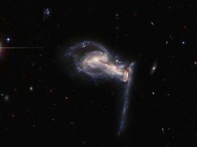 Новое фото с телескопа Hubble: в NASA показали снимок скопления галактик в созвездии Рыси - unn.com.ua - Украина - Киев