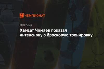 Хамзат Чимаев - Хамзат Чимаев показал интенсивную бросковую тренировку - championat.com - Швеция
