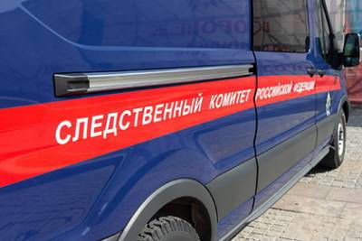 Александр Невский - Задержаны избившие российского полицейского хоругвью участники крестного хода - lenta.ru - Россия - Ленинградская обл.