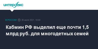 Михаил Мишустин - Кабмин РФ выделил еще почти 1,5 млрд руб. для многодетных семей - interfax.ru - Москва - Россия