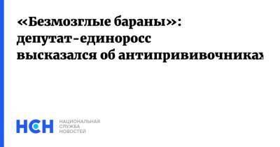 Александр Мясников - «Безмозглые бараны»: депутат-единоросс высказался об антипрививочниках - nsn.fm - Россия - респ. Татарстан