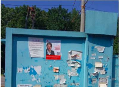 Екатерина Одарченко - По Виннице распространяются плакаты с лозунгами новой политической партии "Национальная платформа" - lenta.ua - Украина