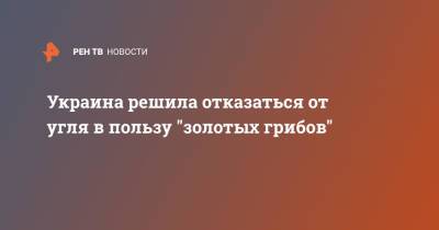 Украина решила отказаться от угля в пользу "золотых грибов" - ren.tv - США - Украина - Киев - Германия - Покровск - Донецкая обл.