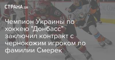 Чемпион Украины по хоккею "Донбасс" заключил контракт с чернокожим игроком по фамилии Смерек - strana.ua - США - Украина - Донецк - Защитник