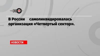 В России самоликвидировалась организация «Четвертый сектор». - echo.msk.ru - Россия