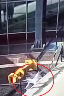Жуткие кадры падения малолетних детей с коляской на рельсы в Петербурге опубликованы в сети - vologda-poisk.ru - Санкт-Петербург - Анапа