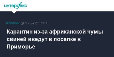 Карантин из-за африканской чумы свиней введут в поселке в Приморье - interfax.ru - Москва - Приморье край