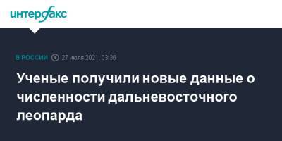 Ученые получили новые данные о численности дальневосточного леопарда - interfax.ru - Москва - Россия - Приморье край