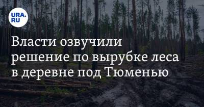 Михаил Захаров - Власти озвучили решение по вырубке леса в деревне под Тюменью. Фото - ura.news - округ Московский - Тюмень