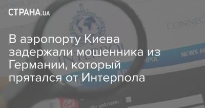 В аэропорту Киева задержали мошенника из Германии, который прятался от Интерпола - strana.ua - Украина - Киев - Германия