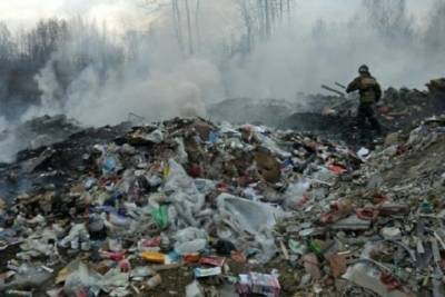 В Кинешме с 12 июля тушат возгорание на местной свалке - mkivanovo.ru