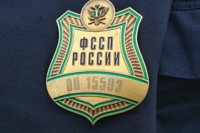 В Тульской области с начала 2021 года возбуждено 341 уголовное дело в отношении должников по алиментам - tula.mk.ru - Тульская обл.
