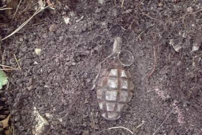 22 боеприпаса времен войны обезвредили саперы в Смоленской области за неделю - mk-smolensk.ru - Россия - Смоленская обл. - район Смоленский - район Ярцевский