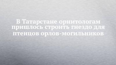 В Татарстане орнитологам пришлось строить гнездо для птенцов орлов-могильников - chelny-izvest.ru - респ. Татарстан - Казань