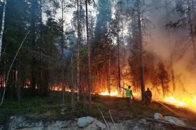 В Минприроды Карелии рассказали, почему площадь лесных пожаров постоянно увеличивается - karel.mk.ru - республика Карелия