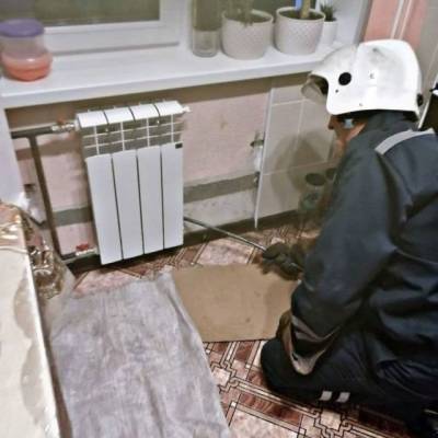 В Кузбассе спасатели нашли в квартире вместо змеи другое животное - gazeta.a42.ru - Юрга