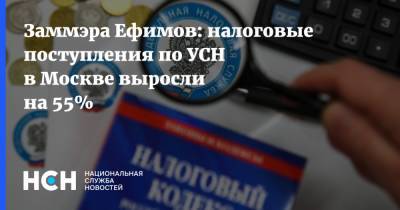 Владимир Ефимов - Заммэра Ефимов: налоговые поступления по УСН в Москве выросли на 55% - nsn.fm - Москва