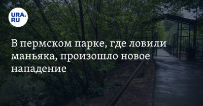 В пермском парке, где ловили маньяка, произошло новое нападение - ura.news - Пермь