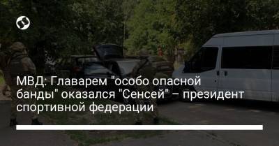 МВД: Главарем "особо опасной банды" оказался "Сенсей" – президент спортивной федерации - liga.net - Украина - Черниговская обл.