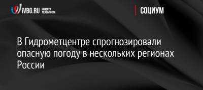 Роман Вильфанд - В Гидрометцентре спрогнозировали опасную погоду в нескольких регионах России - ivbg.ru - Россия - Красноярский край - Украина - Сочи - респ. Саха - респ. Хакасия - Россияне