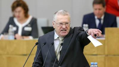 Владимир Жириновский - Жириновский: идеальный вариант - жить без мигрантов - nazaccent.ru - Россия - Белоруссия